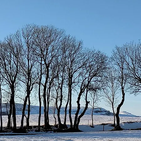 Semesterbostad Des Aubracs Cezens