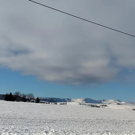 Des Aubracs *