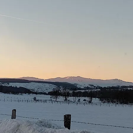 Des Aubracs * Cezens